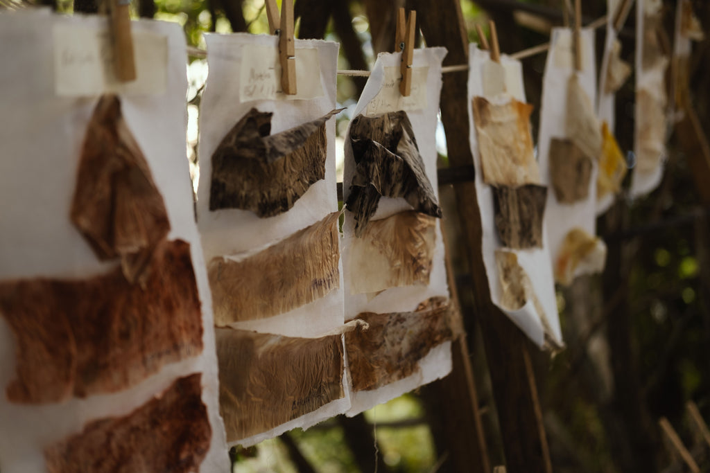 Botanical Ecodye Kit (air)