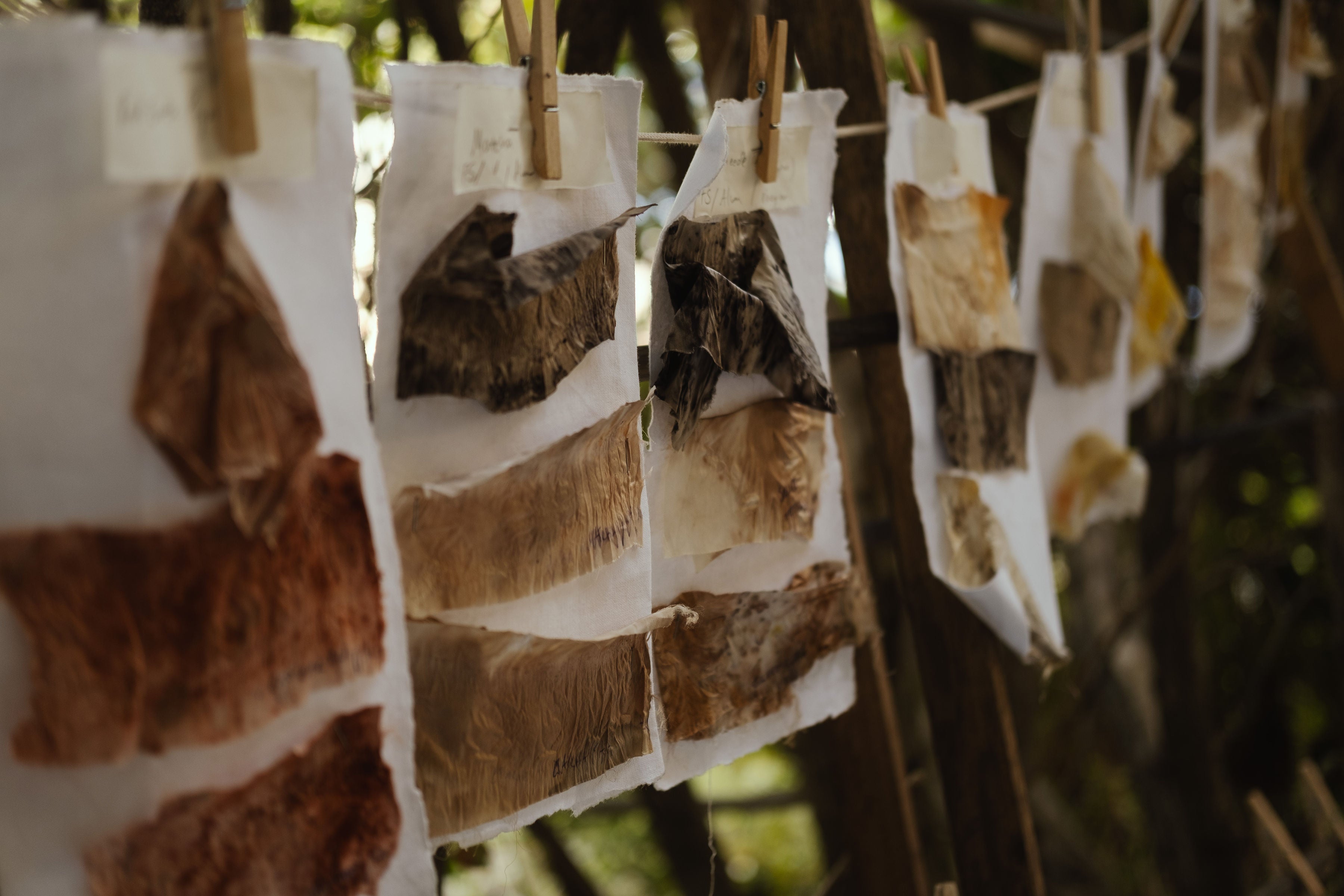 Botanical Ecodye Kit (air)