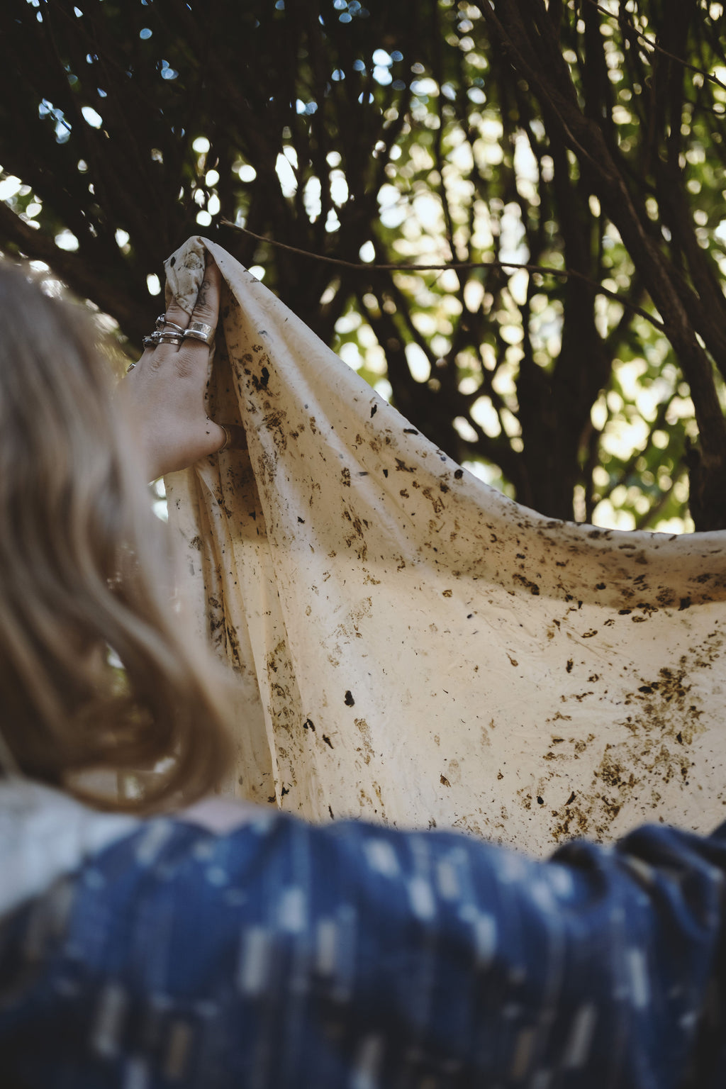 Botanical Ecodye Kit (air)