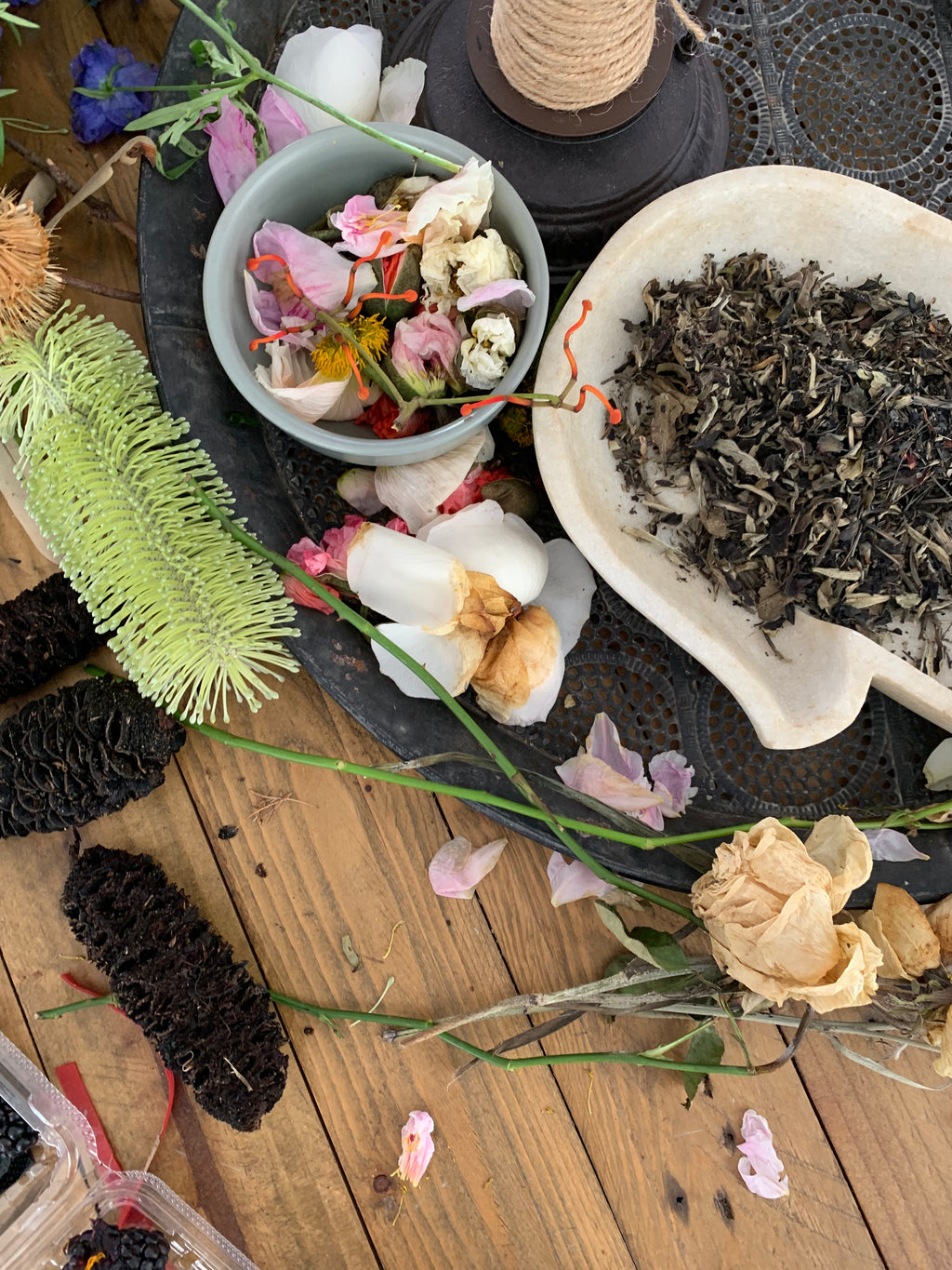 Botanical Ecodye Kit (air)