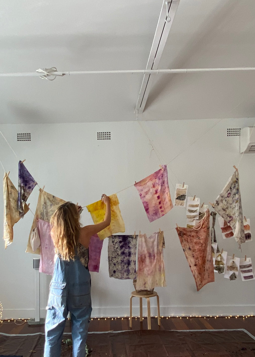 Botanical Ecodye Kit (air)