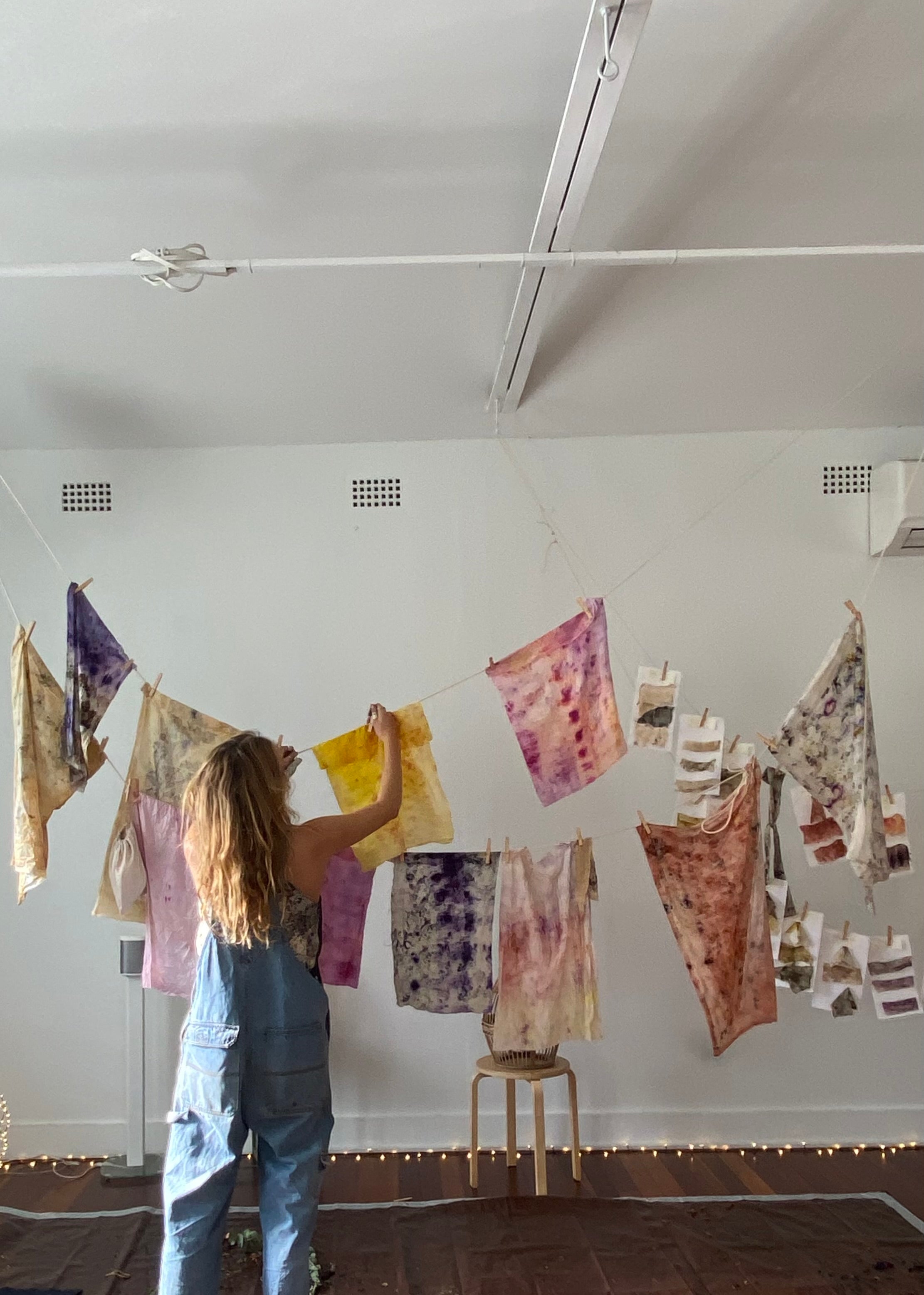 Botanical Ecodye Kit (air)